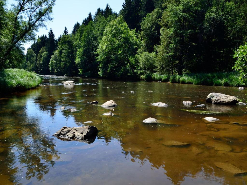 Grill * Schönberg